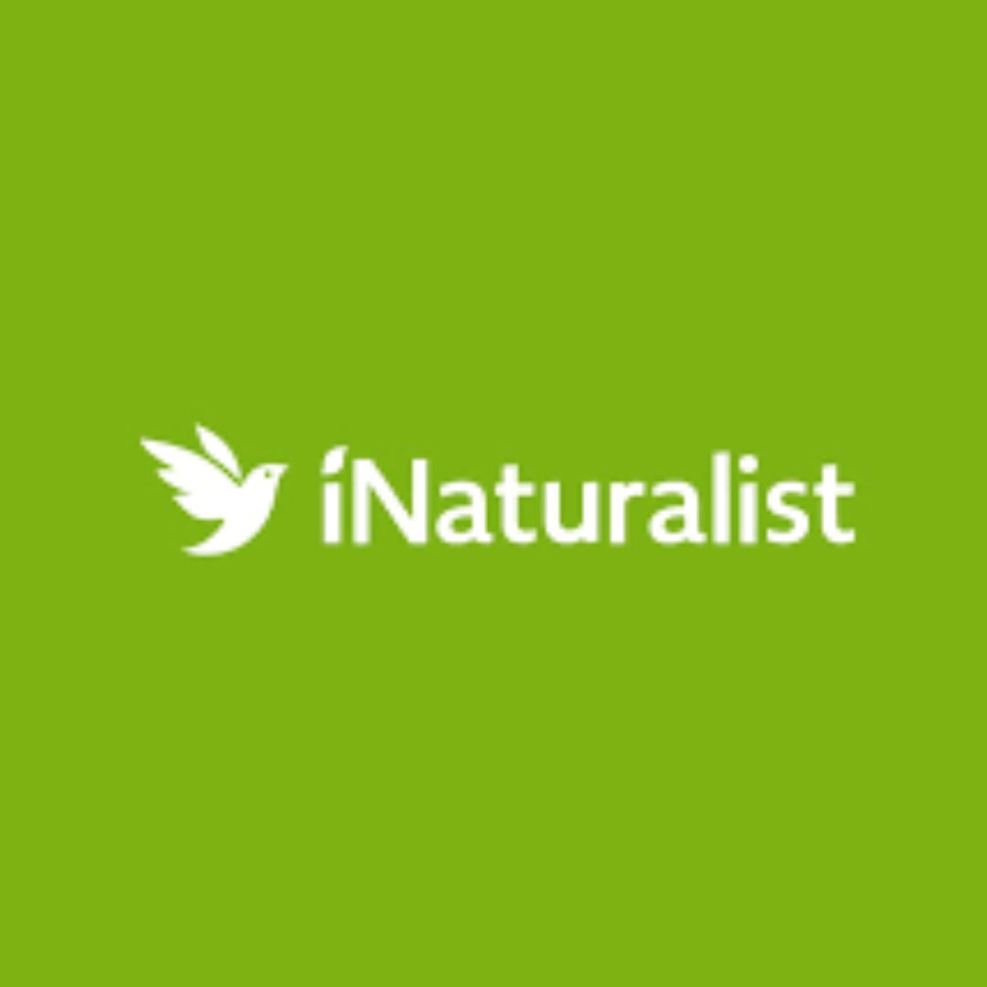 iNaturalist graphic