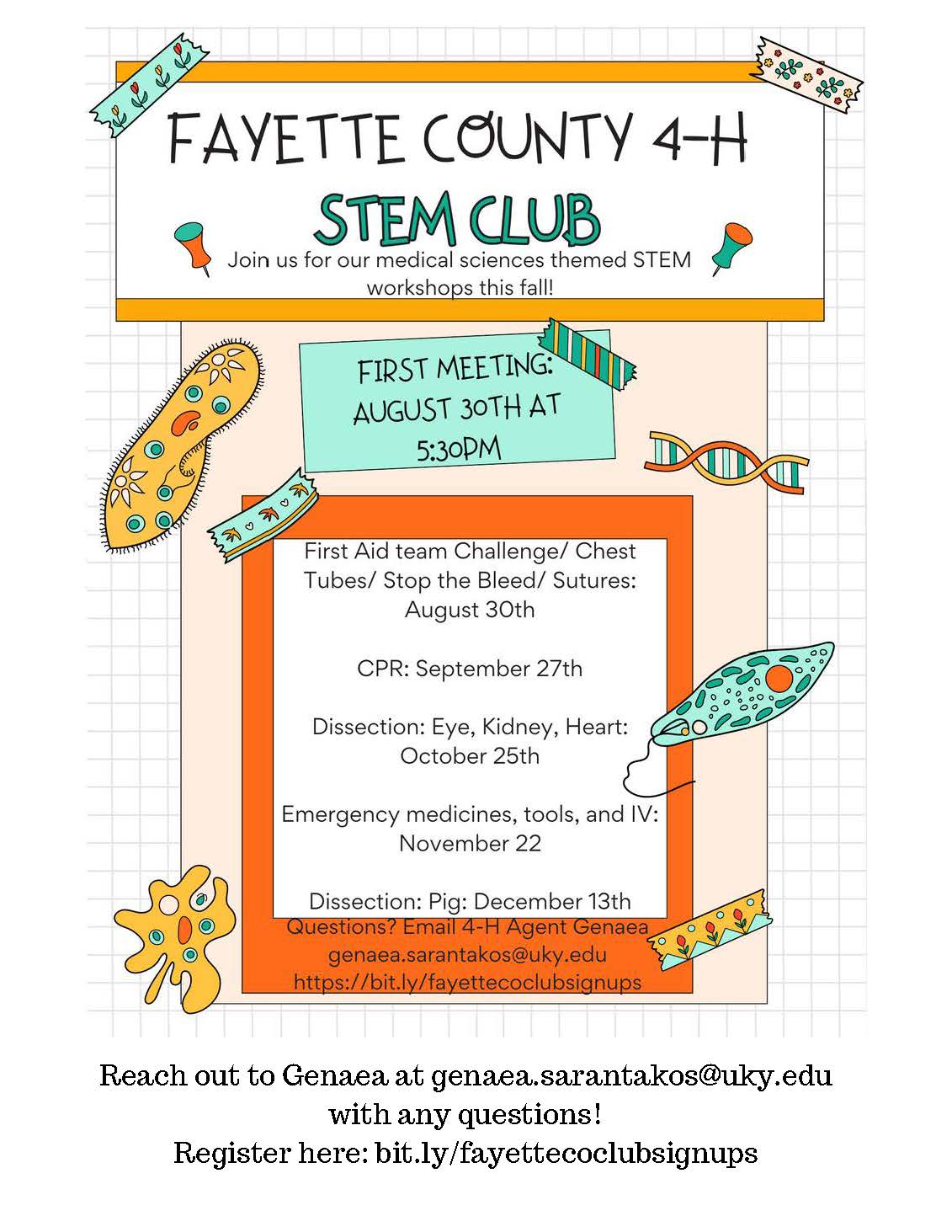 stem club 2024