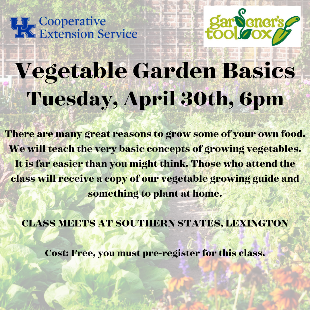 Vegetable Gardening Basics 2024
