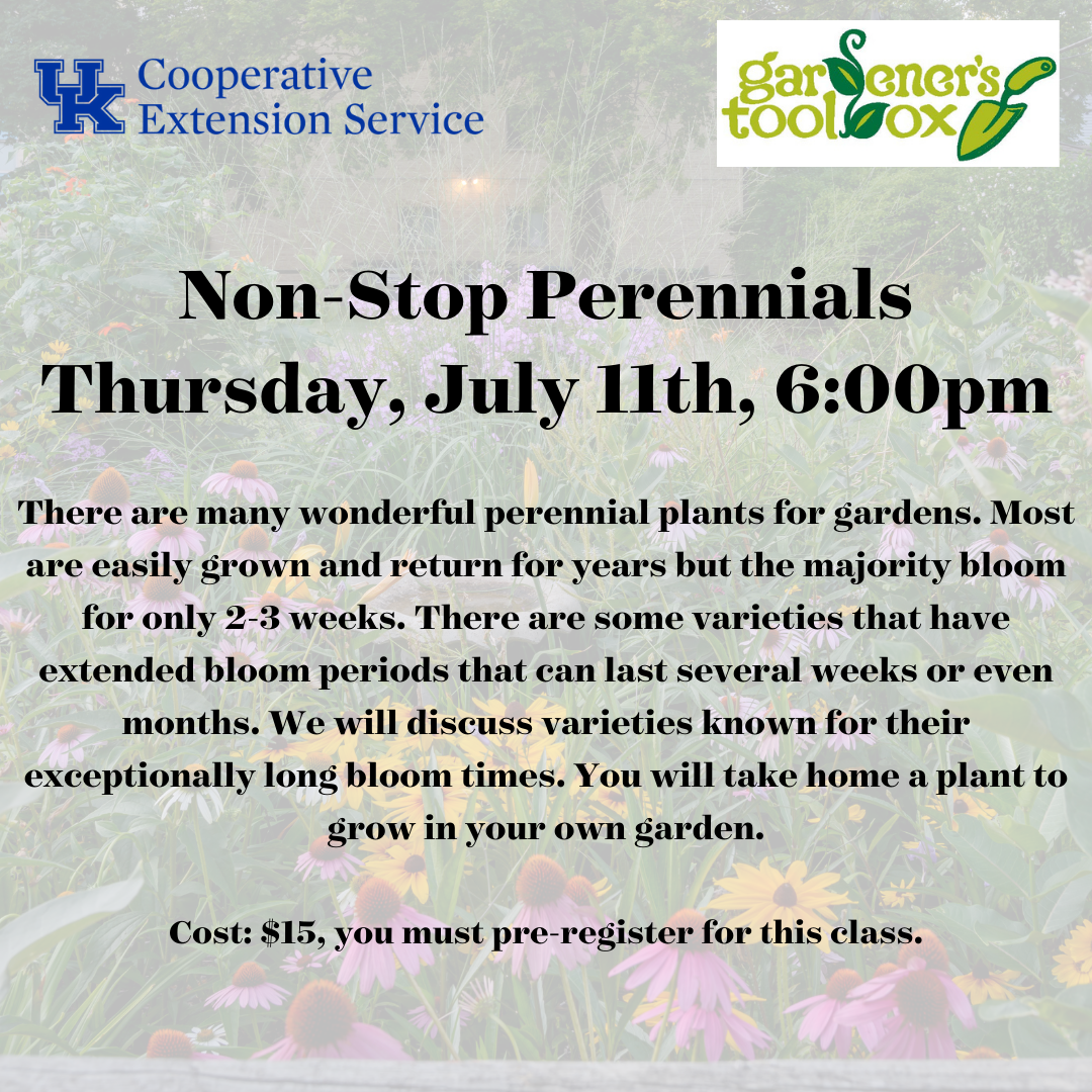 Non-Stop Perennials 2024