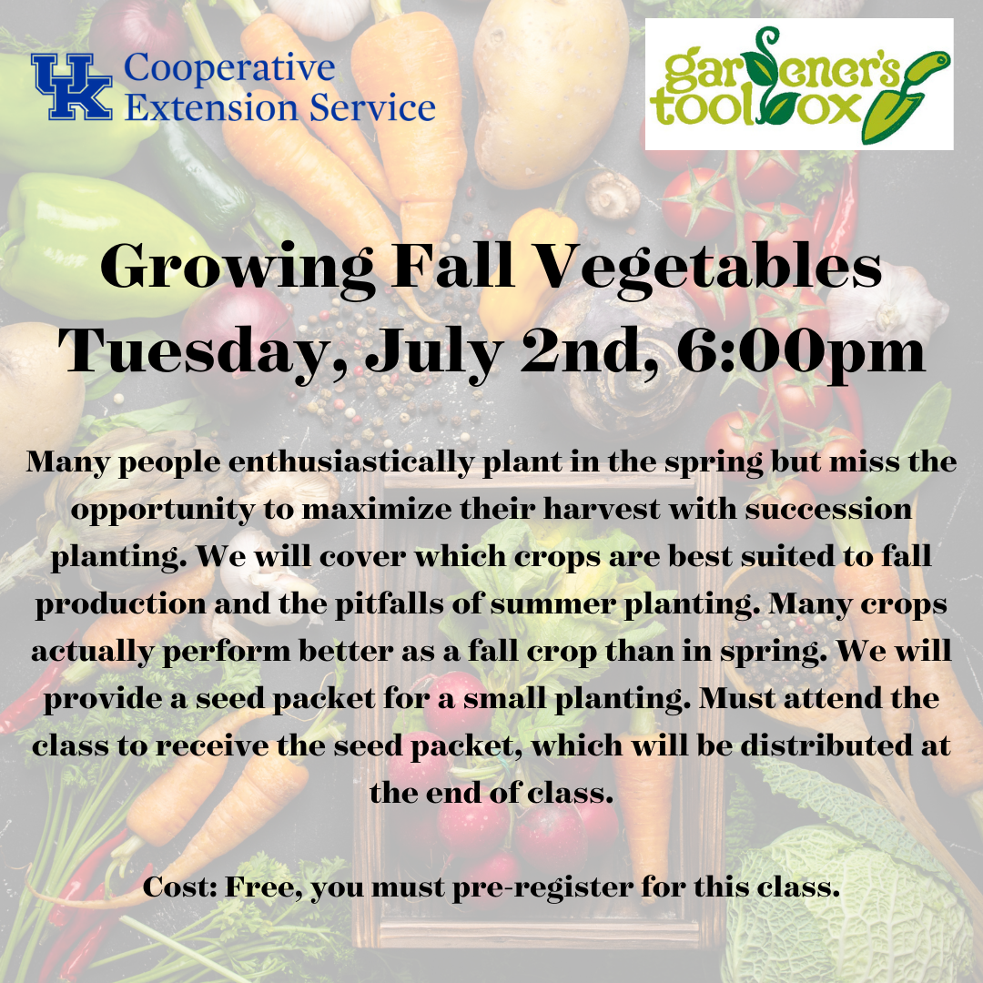 Growing Fall Vegetables 2024