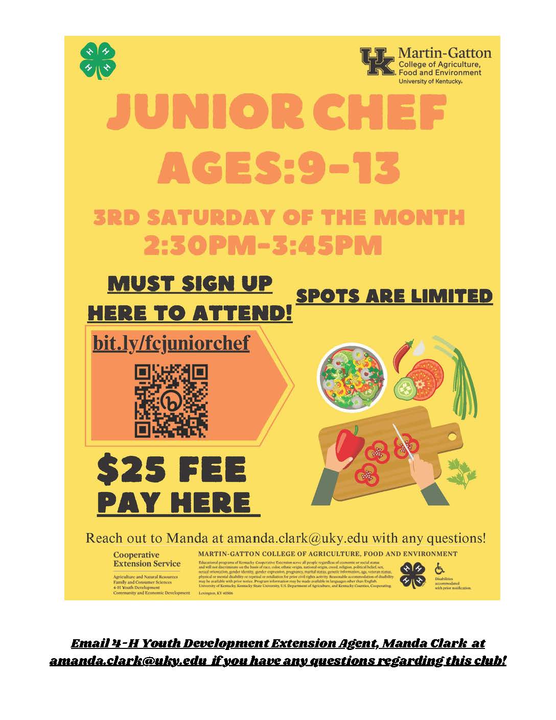4-H Junior Chef Flyer