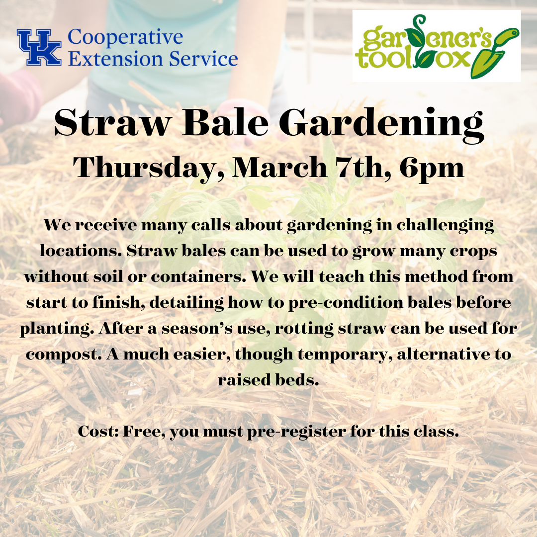 Straw Bale Gardening 2024