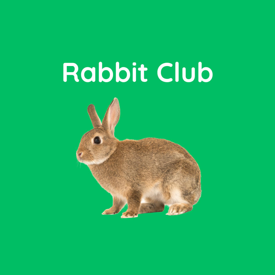rabbit club