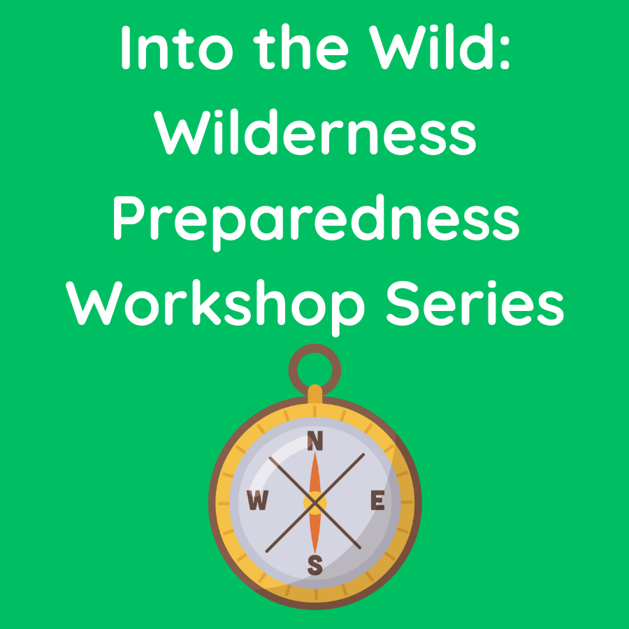 into the wild wilderness preparedness 