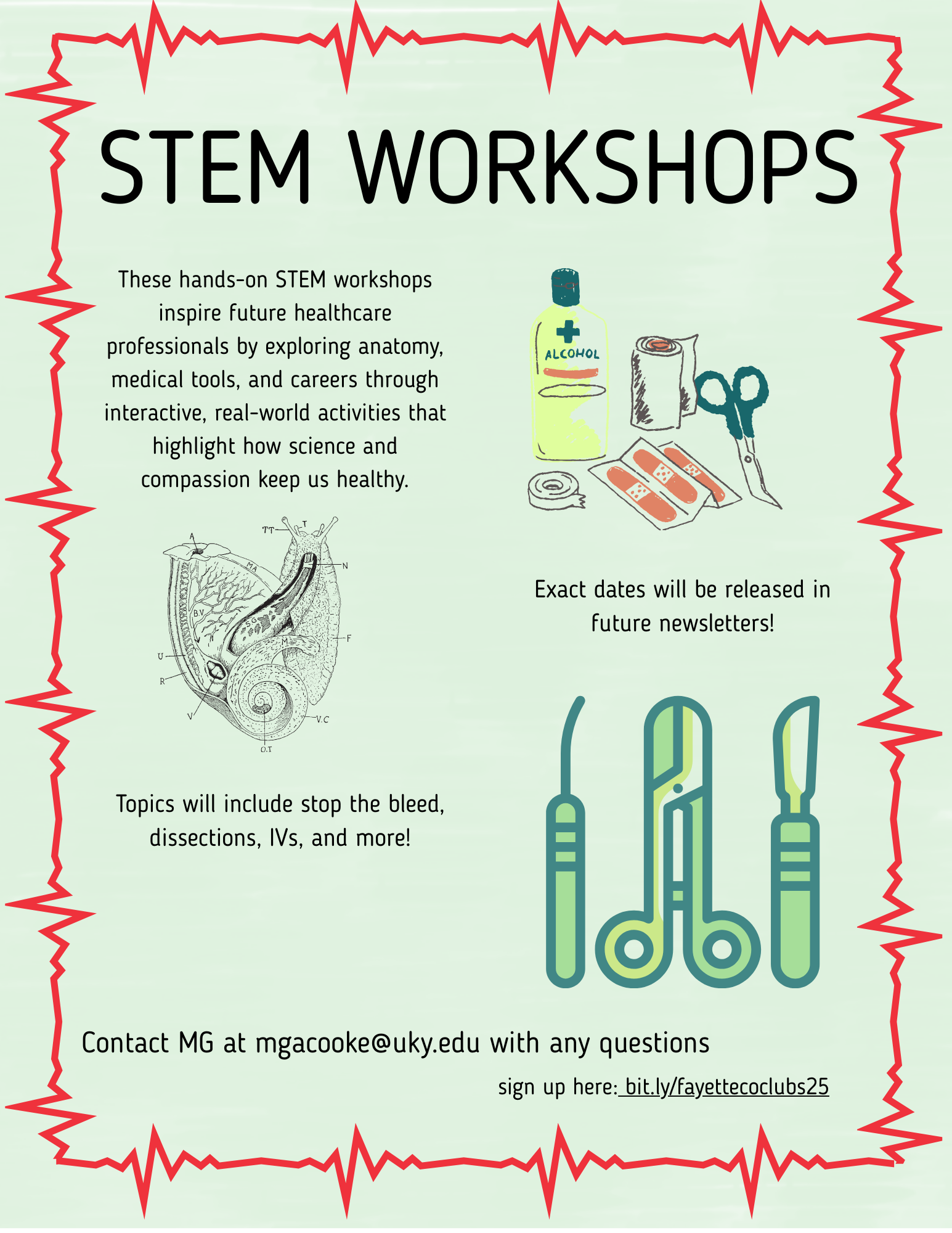 STEM Workshops