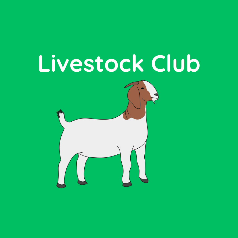 livestock club
