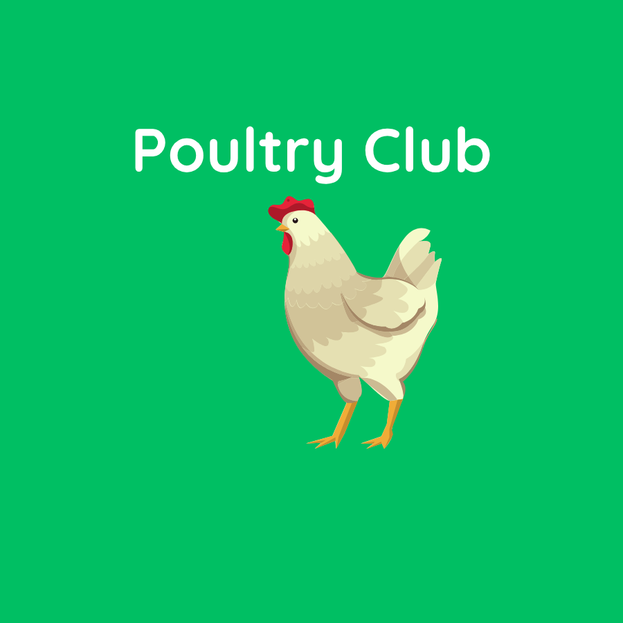 poultry club
