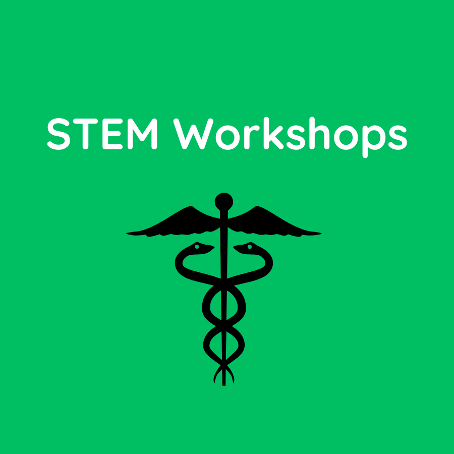 stem workshops