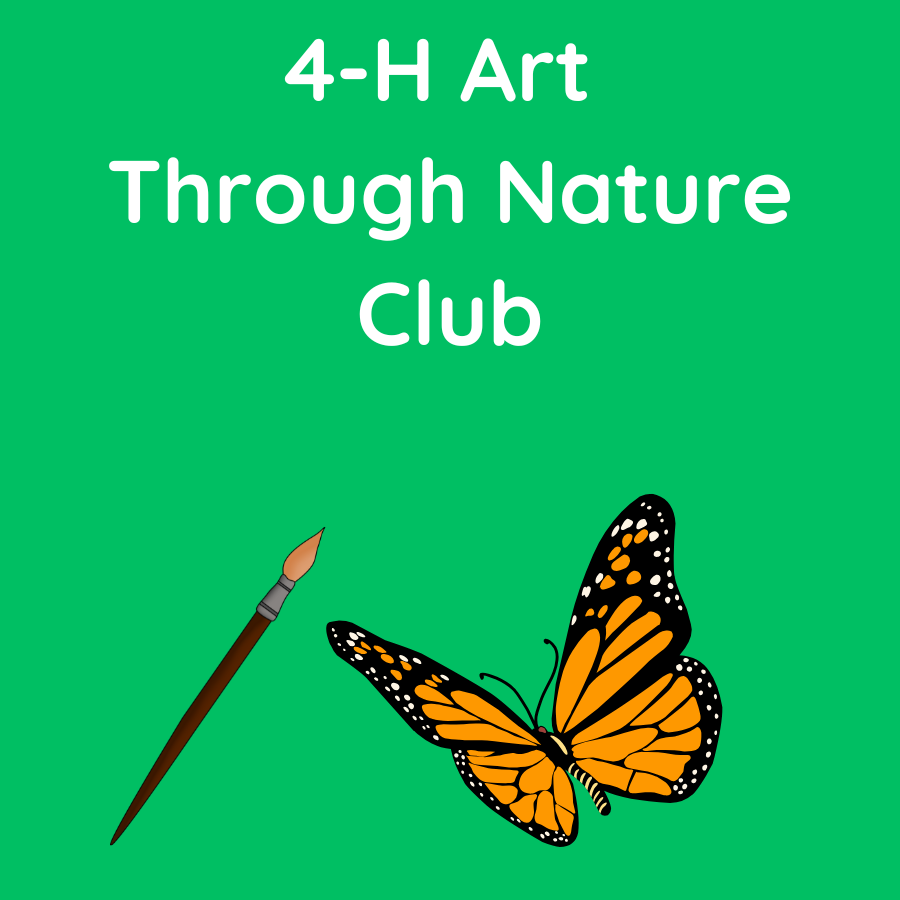 art through nature club
