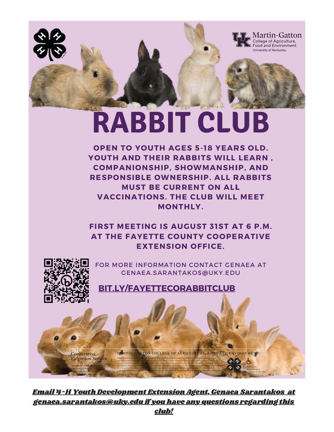 rabbit club