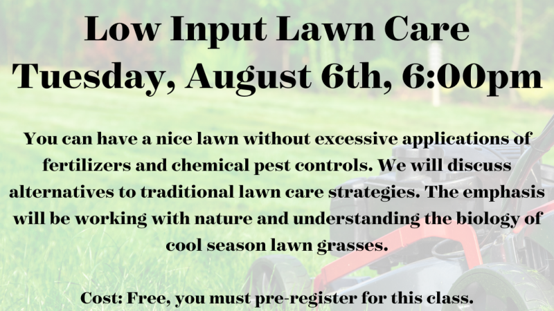 Low Input Lawn Care 2024