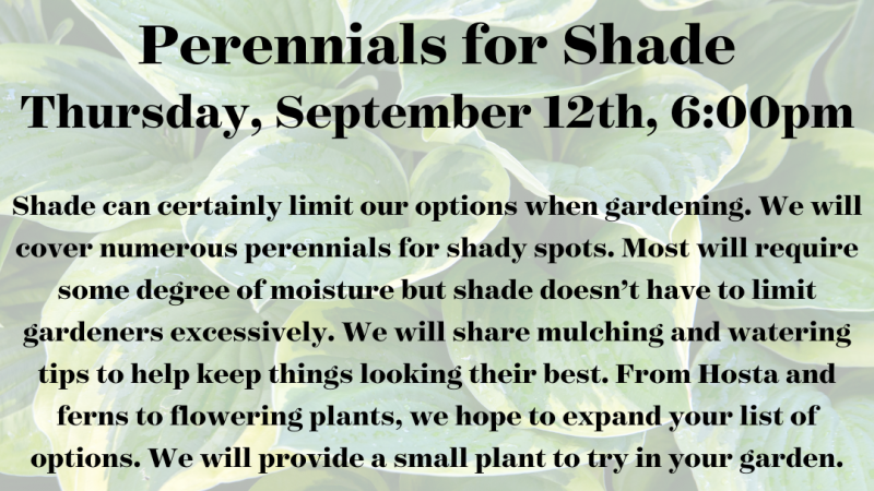 Perennials for Shade 2024