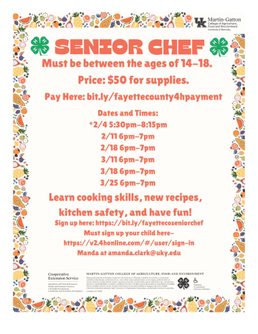 4-H Senior Chef