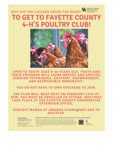 4H Poultry Club