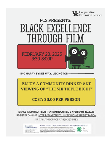 black excellence trough film