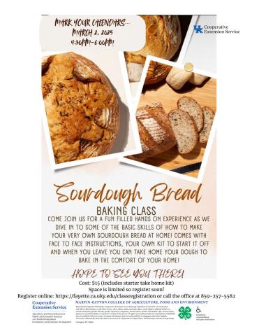 Sour Dough Bread Class