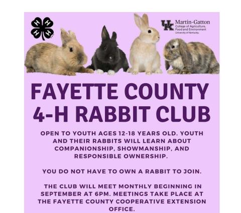 4-H Rabbit Club